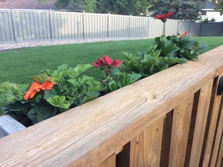 Time Running Short for Fall Lawn Aeration in the Twin Cities